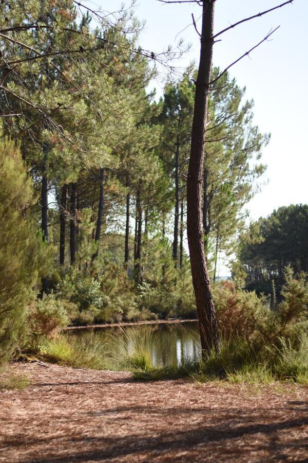 La Cachette Du Lac Lacanau Bagian luar foto